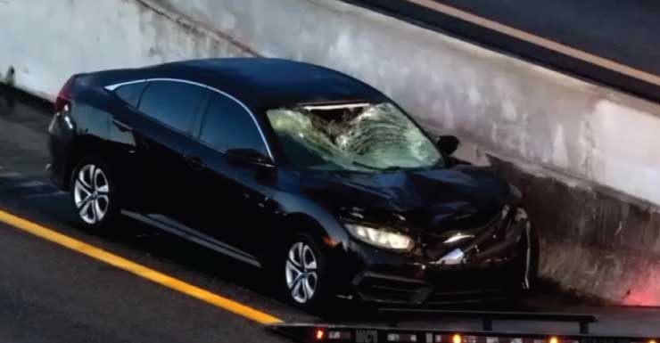 Hombre atropellado y muerto mientras intentaba cruzar I-95 cerca de West Pembroke Road, según FHP