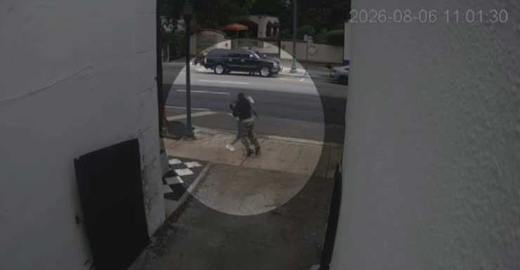 Video de vigilancia muestra a un hombre golpeando al azar a una mujer de 61 años en Miami; sospechoso bajo custodia