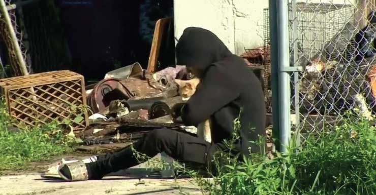 2 gatos muertos, hombre mayor hospitalizado y familia desplazada después de un incendio en una vivienda del noroeste de Miami-Dade