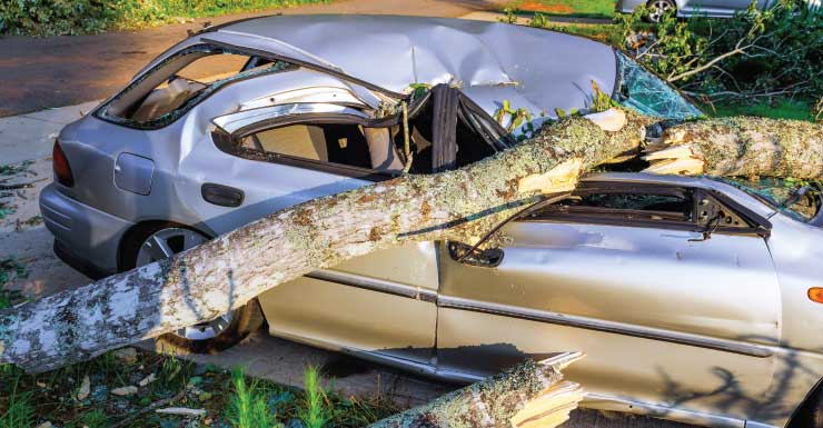 Hombre de 83 años del condado de Union muere después de retroceder y chocar contra 2 árboles FHP