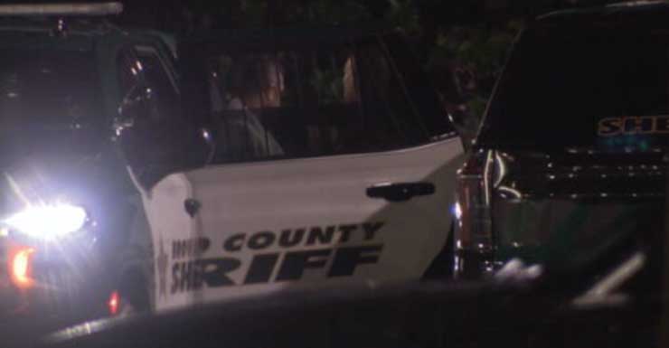 Mujer y niño hospitalizados después de un ataque de perros en Dania Beach