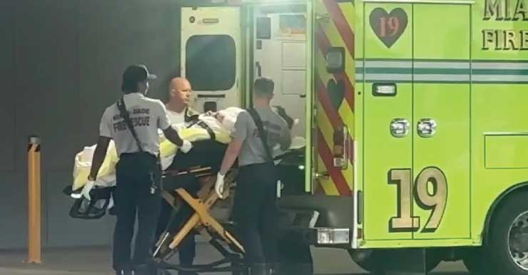 Mujer en estado crítico tras ser atacada por una jauría de perros en el noroeste de Miami-Dade